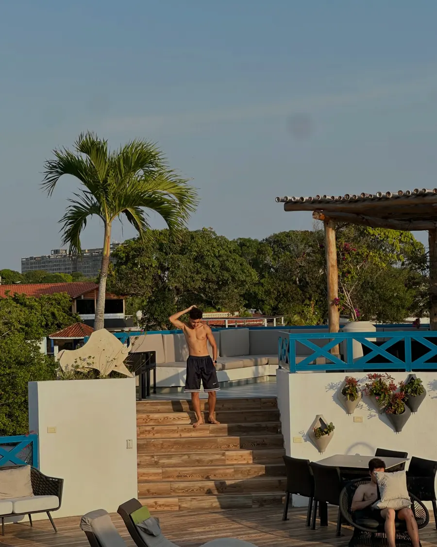Terraza con palmera y escaleras de madera bajo el cielo azul en Higuerote.